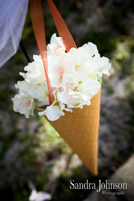 Best Winter Park Civic Center Wedding Photos - Sandra Johnson (SJFoto.com)